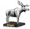 Bergen Rundtur